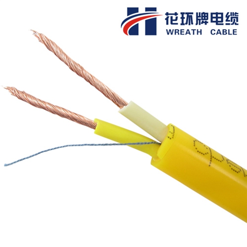 花環(huán)珠江電力電纜RVV